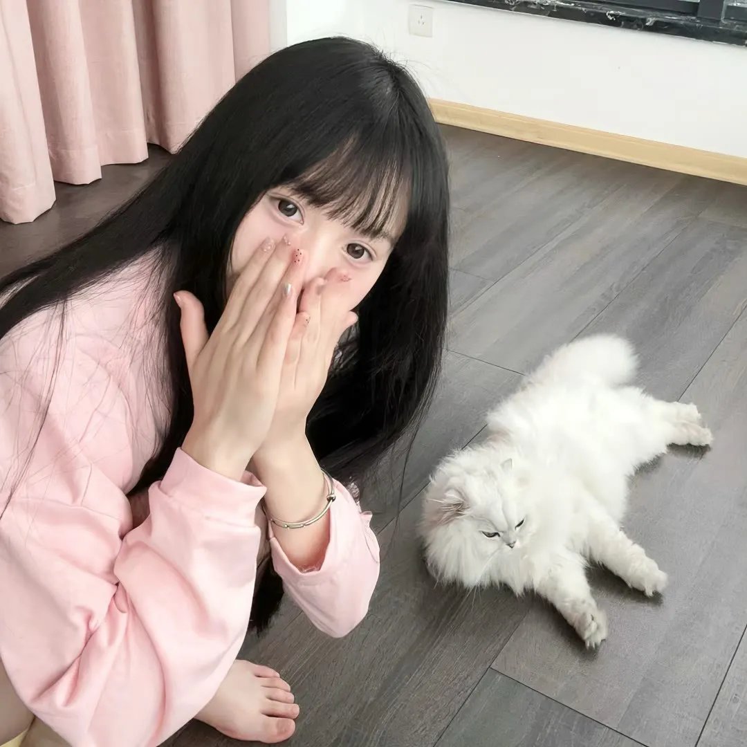 谁说我结不了婚